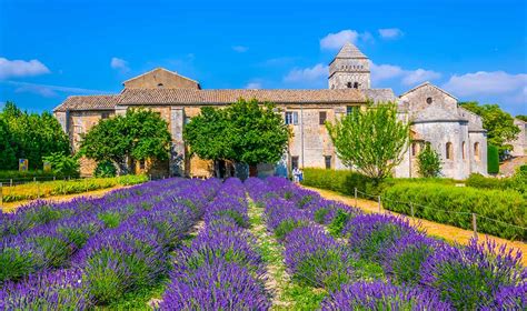 int remy de provence|saint reimy de Provence.